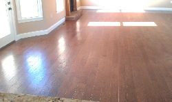 Home Feature Picture